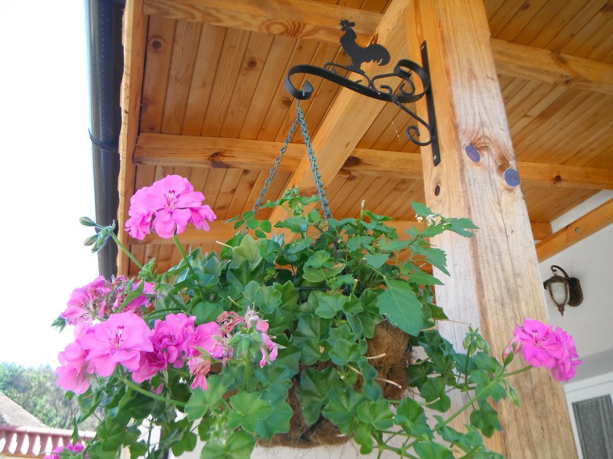 Villa Ani Gorna Kovachitsa Exterior foto